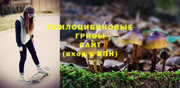 apvp Верхний Тагил