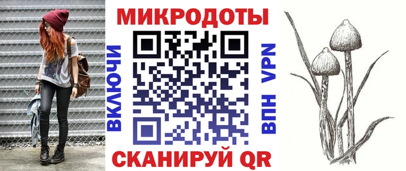 Псилоцибиновые грибы мицелий  Купить где  Саяногорск 